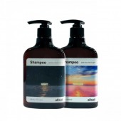 allsol Shampoo