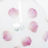 후가공(인쇄/박)