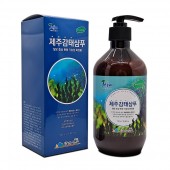 제주 감태 샴푸