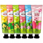 제주 핸드크림 6종