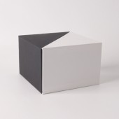 앰플2단 케이스